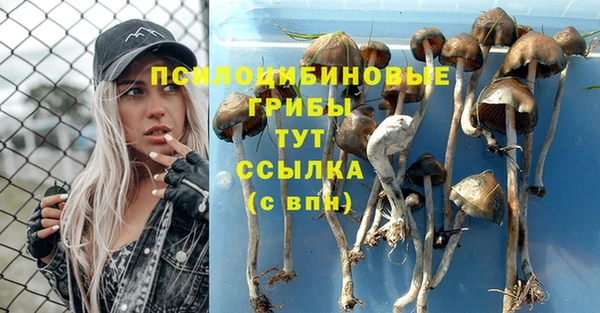 jwh Алексин