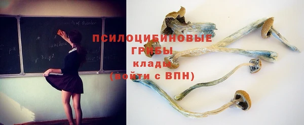 дживик Алзамай