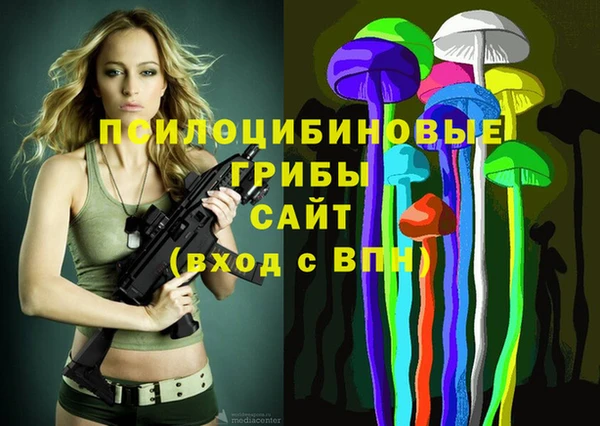 дживик Алзамай